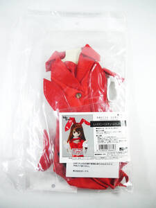 Used Hatsune Miku Dollfie Dream d DD L