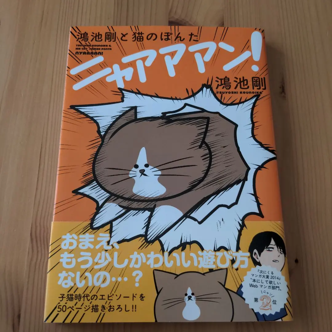 鴻池剛と猫のぽんた ニャアアアン!