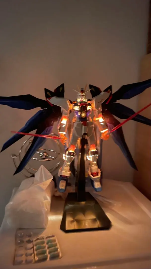 1/60 gundam