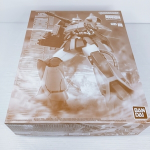 Gundam Gunpla kits grades MG 1100 MS-06K YR-52776