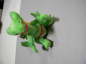 Pokemon Center releases 