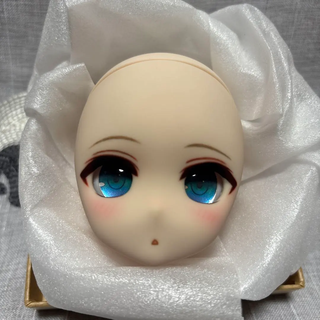 DDH-01 カスタムヘッド ドルフィードリーム