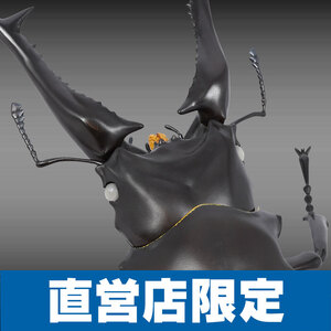 Toy Figures RG008 Ver. () 5