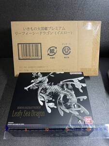 Premium Bandai 