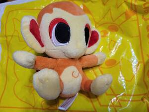Pokemon Center releases 