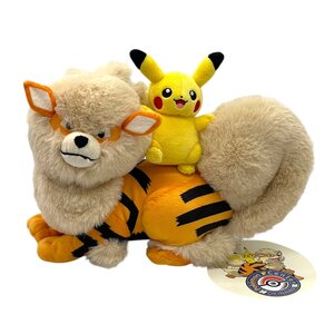 Pokemon Center releases 