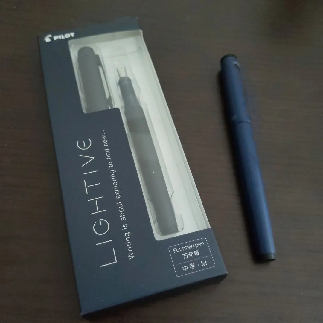 【新品未使用品と洗浄済品】PILOT ライティブ 万年筆 中字M 2本セット
