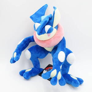 Pokemon Center releases Pokemon 23339