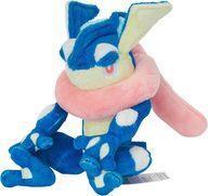 Lanzamientos de Pokémon Center  Pokemon fit 