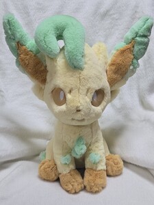 Pokemon Center releases 