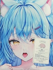 Merchandising exclusivo de Hololive lethe Vtuber Hololive