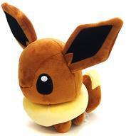 Lanzamientos de Pokémon Center  () 