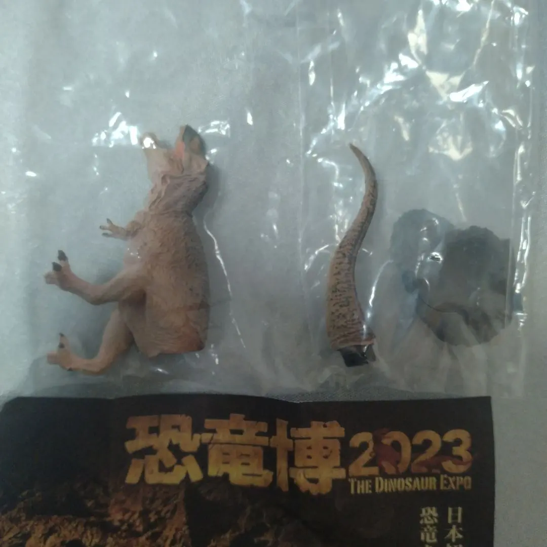 恐竜博2023 会場限定 オフィシャル カプセルフィギュア ティラノサウルス