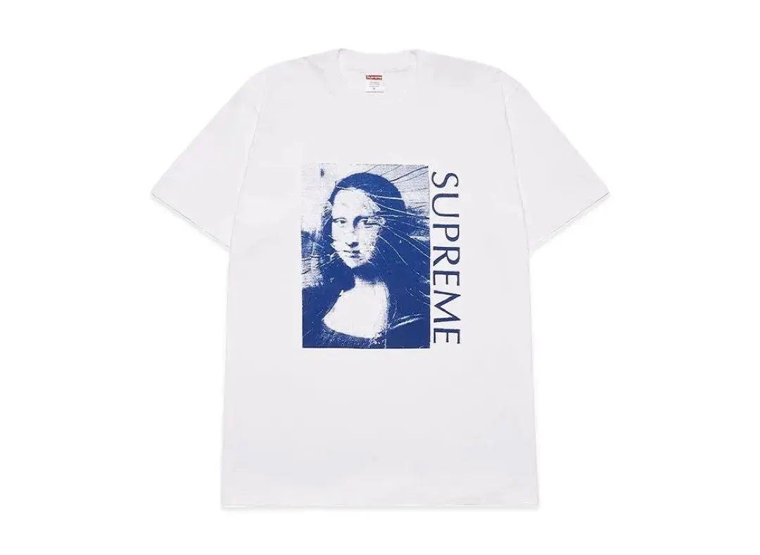 新品Supreme モナリザ mona lisa tee Tシャツ Mサイズ