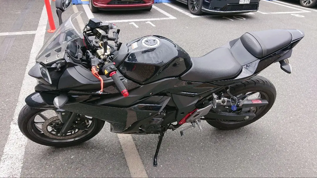 Suzuki GSX250R ブラック 中古車