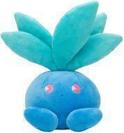 Exclusive Pokémon Center Plushies 