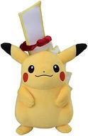 Exclusive Pokémon Center Plushies ()