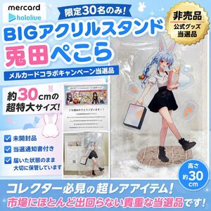 Hololive Exclusive Merchandise BIG 30