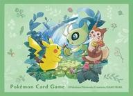 Pokemon Center releases ()