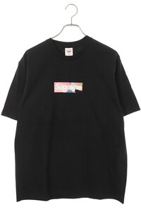 Supreme T :M 21SS Pucci Box Logo Tee T OM10