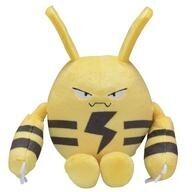 Lanzamientos de Pokémon Center Pokemon fit