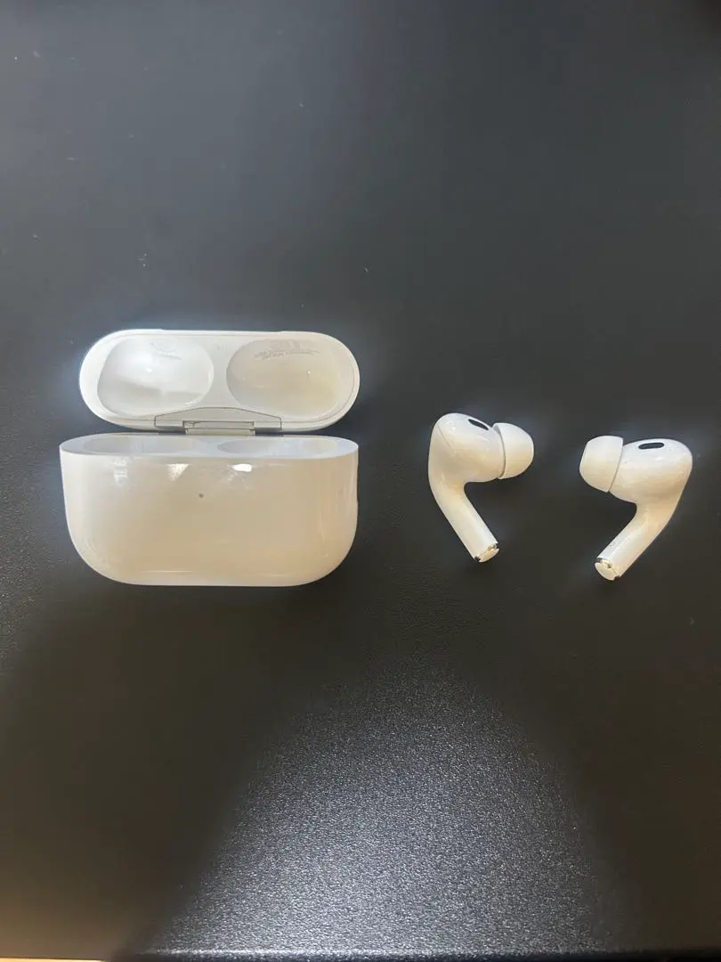 Apple AirPods Pro 本体