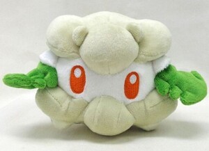Pokemon Center releases ()