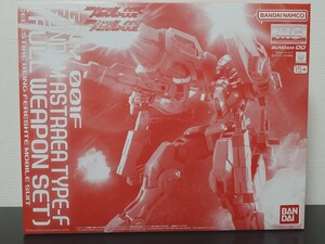 Gundam Gunpla kits grades BANDAI TYPE-F MG 1100 OOF OOI