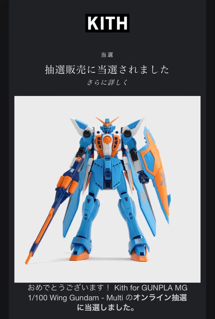 MG 1/100 Wing Gundam & RX-78-2 セット