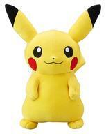 Exclusive Pokémon Center Plushies ()