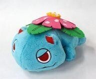 Pokemon Center releases ()