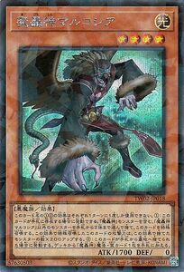 Cartas Yu-Gi-Oh!  () TERMINAL WORLD 2TW02 