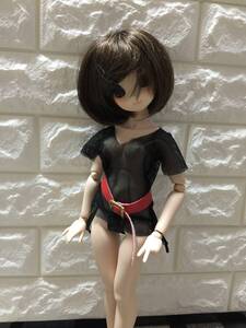Used Hatsune Miku Dollfie Dream MDDMiniDollfieDream MSDAZONE
