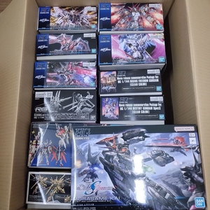 Gundam Gunpla kits grades SEED 11 SEED FREEDOM HG RG